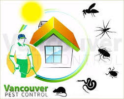 Hiring a pest control professional. Which Is The Best Method Of Pest Control Diy Approach Or Hiring Experts