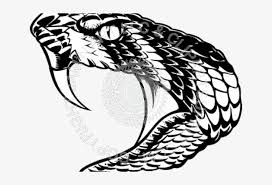 All png images can be used for personal use unless stated otherwise. Snake Head Draw Transparent Png 640x480 Free Download On Nicepng