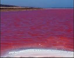 Gambar laut merah yang terbelah. Laut Merah