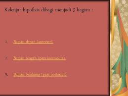 Hipofisis anterior menerima sinyal yang dari 'neuron parvoselular' di otak. Kelenjar Hipofisis Kelenjar Pituitaria Kelenjar Hipofisis Terletak Pada