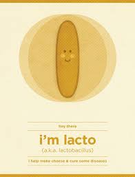 Bacteria Friends On Behance Microbiology Medical Laboratory Science Learning Science