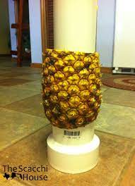 We did not find results for: Build Those Pineapple Palm Trees Pineapple Palm Tree Palm Tree Fruit Pineapple Palm