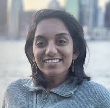 Americas WISE Subcommittee