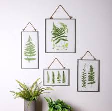 Shop by subject, style, room, best sellers & more. Glass Framed Fern Art Prints From Greg Ollie On Etsy Framed Flower Art Fern Wall Art Flower Wall Art