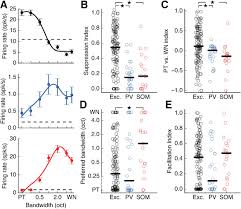 The components of cells that make protein from all amino acids. Somatostatin Expressing Interneurons In The Auditory Cortex Mediate Sustained Suppression By Spectral Surround Journal Of Neuroscience