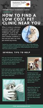 Please have a full service veterinary clinic see your pet if you are concerned about your. How To Find A Low Cost Pet Clinic Near You Pet Clinic Pet Health Care Preventative Health