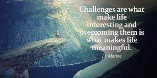 تويتر Tim Fargo على تويتر Challenges Are What Make Life Interesting And Overcoming Them Is What Makes Life Meaningful J J Marine Https T Co Skq9oj6w9z