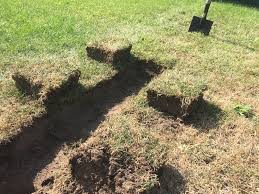 Strom Im Gartenhaus Checkliste Und Umsetzung