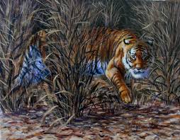 Tyger tyger burning bright, in the forests of the night: Sarais Crawshaw Wildlife Artist Tiger Tiger Burning Bright