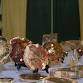 SIESC Gem, Mineral, Fossil, and Jewelry Show event in Marion, IL