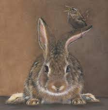 It is about time to start on the details. Colored Pencil Society Of America News Bunny Art Rabbit Art Color Pencil Drawing