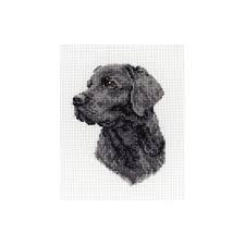 Common stitches found in counted cross stitch patterns include fractional stitches and back a counted cross stitch pattern should include an estimated completed size. Anchor Counted Cross Stitch Kit Black Labrador Or Border Collie Dog