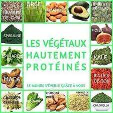 Les Alternatives Wiki Vegan Fr La Boite A Outils Des Vegans Nutrition De L Enfant Sante Graine