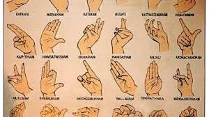 Mudra Overview How Do I Hold My Hands During Meditation Mudras Hand Mudras Yoga Hands