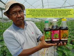 In racun organik last updated 06/01/2021. Sri Rice Weblog Padi Selangor Pertanian Selangor