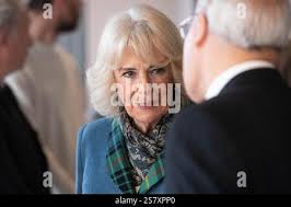 People in the Library, Aberdeen University Stock Photo