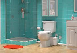 Basement bathroom renovations can be a challenge when installing toilets and sinks because the gravity assist that works. All About Basement Bathroom Systems Riverbend Home