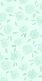 500 eucalyptus pictures hd download free images on unsplash Collage Aesthetic Sage Green Desktop Wallpaper Novocom Top