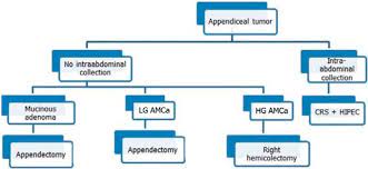 Treatment Algorithm For Appendiceal Mucinous Tumours Amca Download Scientific Diagram
