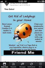 Pin On Pest Control
