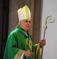 MONS. ÁLVAREZ AFONSO, ELEGIDO PRESIDENTE DEL COMITÉ NACIONAL PARA EL  DIACONADO PERMANENTE - Nivariense Digital