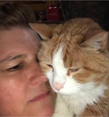 How do guides communicate with us without dreams?