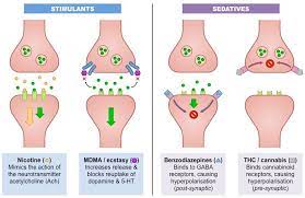Psychoactive Drugs Bioninja