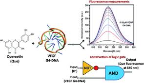 Поделись найденными gif или попробуй похожие gif запросы. Exploring The Preferential Interaction Of Quercetin With Vegf Promoter G Quadruplex Dna And Construction Of A Ph Dependent Dna Based Logic Gate Rsc Advances Rsc Publishing