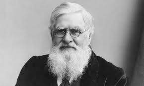 Alfred Russel Wallace (British Naturalist) ~ Bio with [ Photos