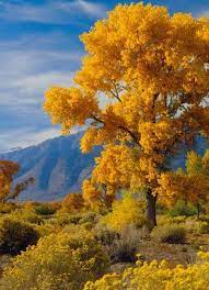 The Best Places To Travel In November Nature Beautiful Nature Autumn Scenery