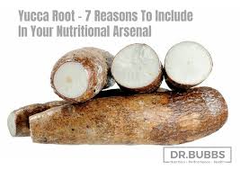 Yucca Root 7 Reasons To Include In Your Nutritional Arsenal Dr Marc Bubbs