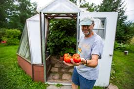 Greenhouses hold heat and allow gardeners to start seeds early and keep crops going late. New England Greenhouse Photos Growing Spaces Greenhouses