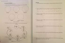 Maybe you would like to learn more about one of these? Lab 10 Mitosis And Meiosis 10 2 Animal Cell Mitosis Chegg Com