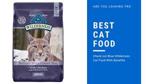 Do not buy 9lives for your cat. Blue Wilderness Cat Food With Key Benefits 2019 Best Cat Food Reviews Youtube