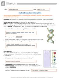 Aftward, we physically build dna models using the atta. What Is The Role Of Dna Polymerase In This Process Gizmo