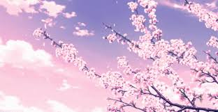 Cerisier Fleur Cherry Blossom Gif Cerisierfleur Cherryblossom Japan Discover Share Gif Anime Scenery Wallpaper Anime Backgrounds Wallpapers Anime Scenery