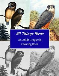 Well colour me shooketh at this revelation. Amazon Com All Things Birds An Adult Grayscale Coloring Book 43 Beautiful Images Of Flying Creatures Of Various Species Great Gift For Colorists Of All Skills Level 9781707965182 Galore Grayscale Books