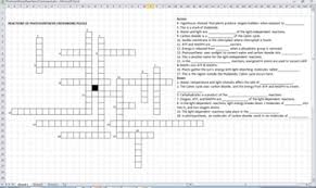 Txt) or read online for free. Photosynthesis Crossword Puzzle Worksheets Teaching Resources Tpt