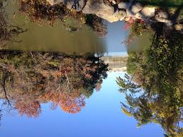 We did not find results for: White Rock Lake Park History Lore And Attractions