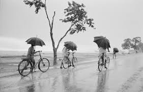 Museum of New Zealand Te Papa Tongarewa