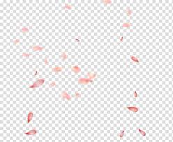 Pink Flower Petals Illustrations Petal Pink Gratis Falling Petals Transparent Background Png Clipart Hiclipart 576*1024 name:falling rose leaves png transparent free by theartist100 on clipart. pink flower petals illustrations petal