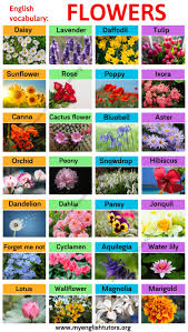 We did not find results for: Types Of Flowers Learn Different Flower Names With The Picture My English Tutors Flower Names English Flowers Types Of Flowers