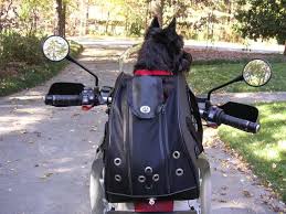 Riding With My Dog Adventure Rider Bell system technical journal, 5: riding with my dog adventure rider