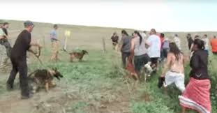 Dakota Access Pipeline Protesters Attacked By Dogs And Mace Video Canada S National Observer News Analysis