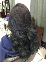 Blue Toner On Brunette Blue Toner Hair Styles Hairstyle