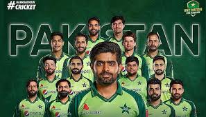 Image result for pakistan cricket
