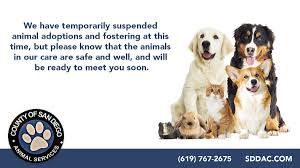 If your first choice is taken, look around. Sandiegocounty On Twitter We Have Temporarily Suspended Animal Adoptions And Fostering At County Animal Shelters The Animals In Our Care Are Safe And Well And Will Be Ready To Meet Their Potential