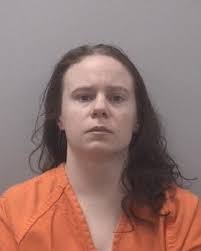 Lexington County Mug Shots: February 20, 2013