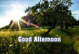 The sun is up, and the birds are singing to let you know just how great the morning is. Good Afternoon Sun Shining Bright Premium Wishes