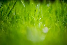 Home > 1920x1080 hd 16:9 wallpapers > page 1. 12 Nature Wallpapers Pack Zip Venera Wallpaper